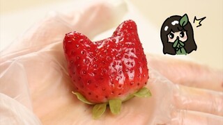 I told you the strawberry seeds were planted there by someone, and you still don't believe me!