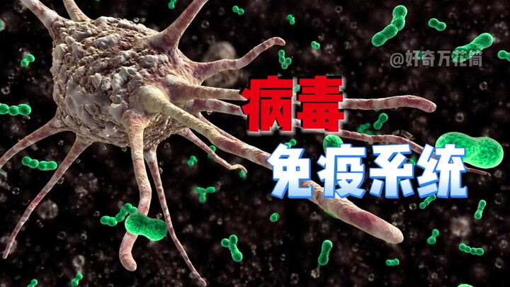 พาคุณชมกระบวนการต่อสู้ของระบบภูมิคุ้มกันกับไวรัสแบบรวดเดียวจบ #สาระความรู้ #ระบบภูมิคุ้มกัน #ไวรัส #