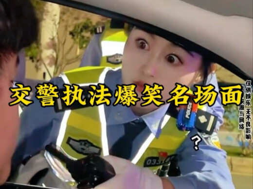 The hilarious names of traffic police enforcement!