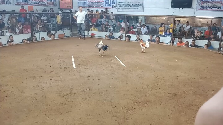 1st fight win