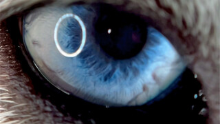 Semakin aneh saja! Sudah paham belum nih?