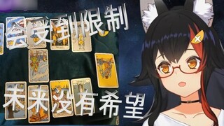 【فيديو مترجم】 تاورو للمايسترو مايورا من سبتمبر إلى نوفمبر