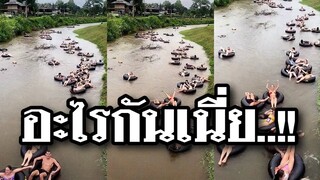 รวมคลิปตลกๆ : นี่มันฝูงอะไรเนี่ย!!