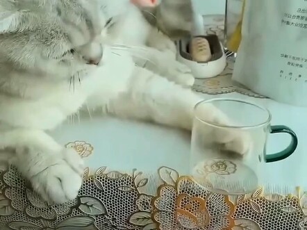 ผ่อนคลายสุดๆ วันนี้ก็เป็นอีกวันที่มีความสุข