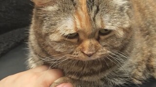 الإمساك بيدك، ستصبح أنتَ أكبر سنًا