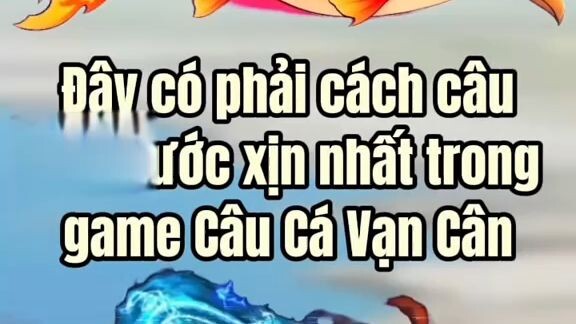 combo câu chu tước
