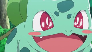 Ai có thể cưỡng lại việc đăng bài với Bulbasaur!