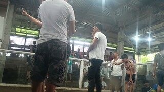 SM Sto Domingo (Lose)