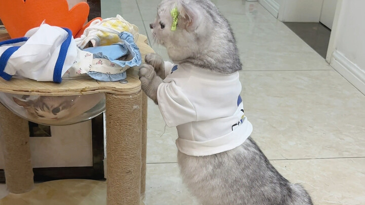 Làm sao đây khi chưa được sự đồng ý của con mà đã có em trai/em gái?