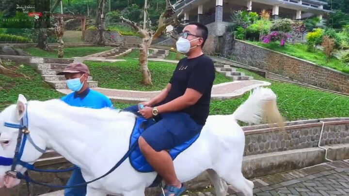 Ride White Horse at Selecta Recreational Park