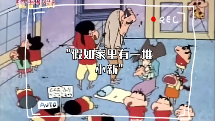 假如家里有一堆小新