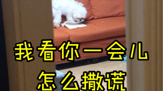 What should we do about little brats who love to lie?