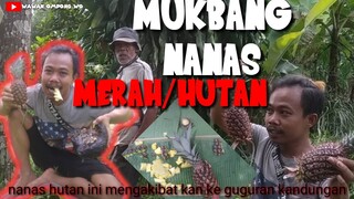 SEREM BANGET INILAH AKIBAT NYA MAKAN NANAS MERAH/NANAS HUTAN..