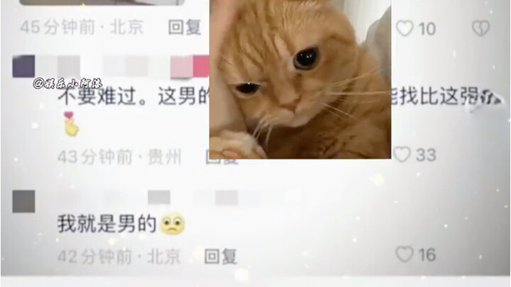 In the end, it’s still the netizens who are the best at comforting people~