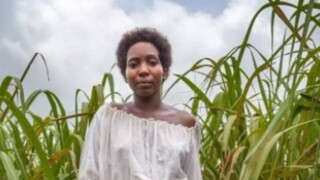 电影<长歌>，讲述了种植园人苦难的史诗，和追求自由平等！