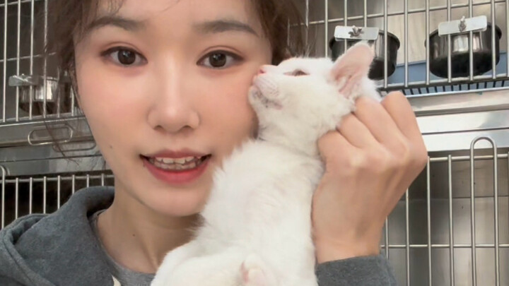 ลูกแมวพวกนี้หาคนรับเลี้ยงไม่ได้จริงๆ