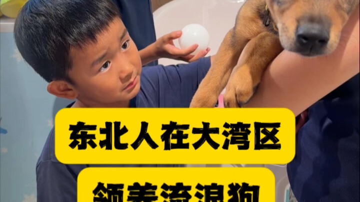 คนจากภาคตะวันออกเฉียงเหนือในเขตอ่าวใหญ่ (11)