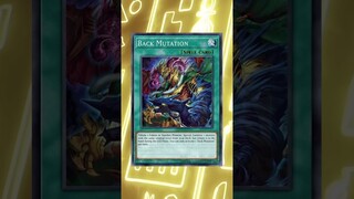This Card WILL BREAK Yu-Gi-Oh One Day! Yu-Gi-Oh! #shorts