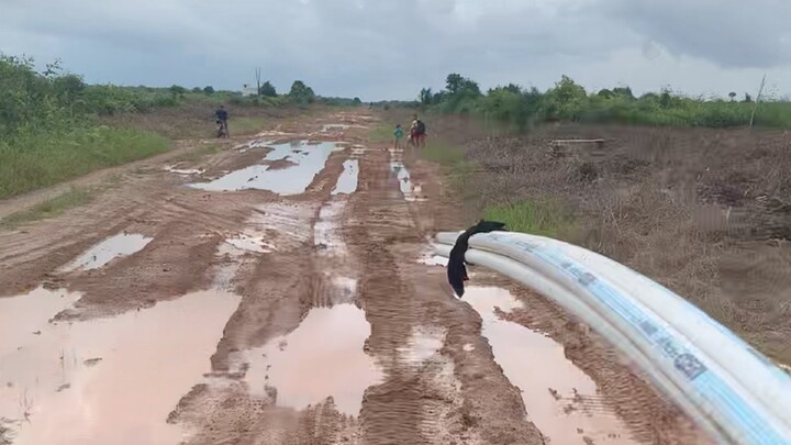 perjuangan kerja di kebun sawit