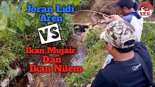 Mancing Ikan Mujair dan Nilem di Selokan Pake Joran Lidi Aren