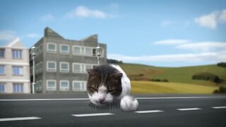 Welcome to Kitty City