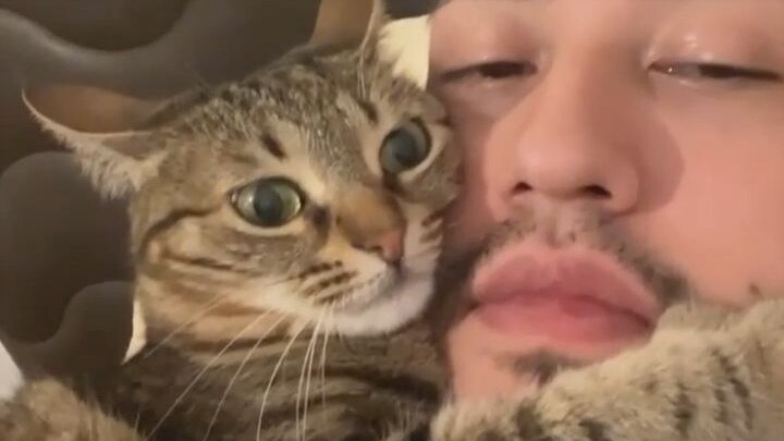 Seorang netizen memelihara seekor kucing, sejak itu sang pacar tak lagi bisa mendekat.