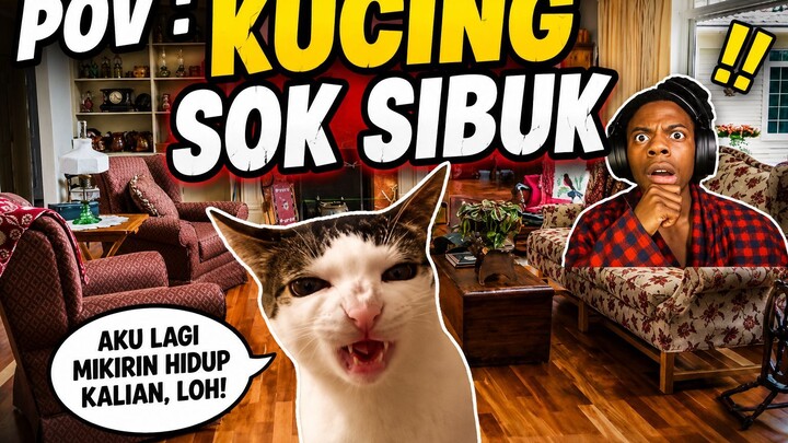 POV: Kucing Sok Sibuk, Padahal Cuma Nunggu Makan 😹