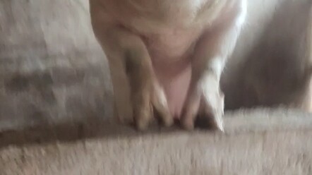 I didn't squat today, I'm not afraid of you.