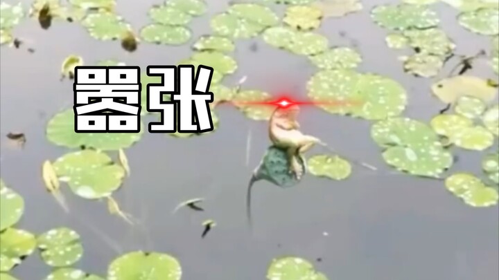 Small body, big dreams!!!