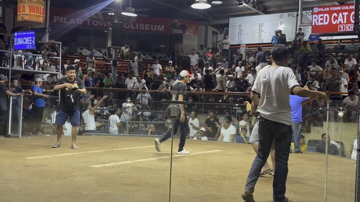 WIN 3rd fight 3stag derby Pilar coliseum WLW 8-15-26