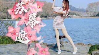 温婉旗袍中国风  西湖旁等待与你邂逅☀️苏幕遮【口袋】