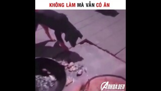 Không Làm Mà Vẫn Có Ăn