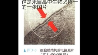 （和生物无关）（非生物及科学内容）高中生物书一直没有告诉你的内容？