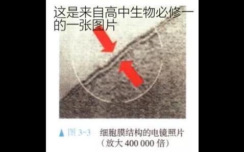 （和生物无关）（非生物及科学内容）高中生物书一直没有告诉你的内容？