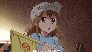 这条大路走不通了