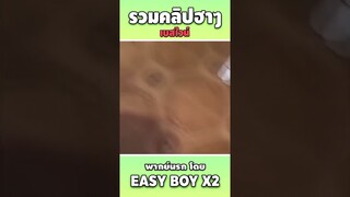 รวมคลิปฮา พากย์นรก #short #easyboy #คลิปฮา #เบสไวน์