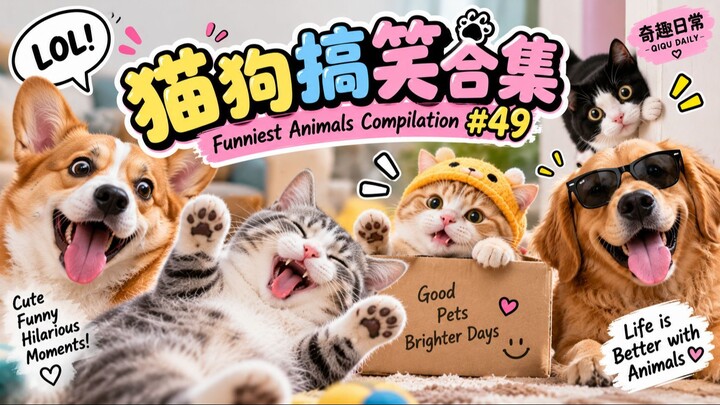 😂 猫狗爆笑合集！这些动物真的太会搞事情了！🤣 | Funniest Animals Compilation #49