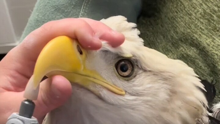 It works better after sharpening.