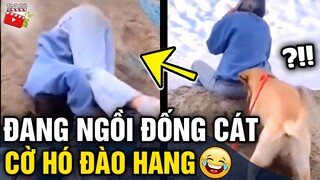 Tin 3 Phút Hài | Tổng hợp tình huống 'HÀI ĐỘNG VẬT' không cười không lấy tiền P47