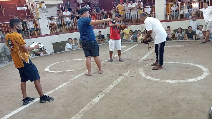 2hits champ @orani cockpit🏆