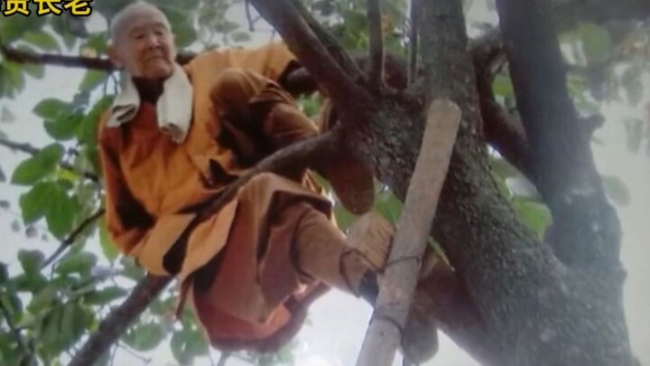 อายุ 112 ปียังปีนต้นไม้ได้: เรื่องราวของหลวงปู่ไห่เสวียน