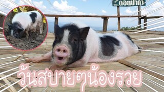 วันนี้น้องรวยปล่อยตัวสบายๆอยู่บ้าน🥰