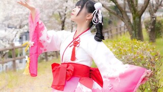 【Footage Penta】Cherry Blossom Feast【Spring is coming】