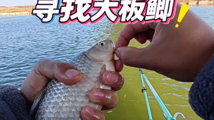 ฤดูหนาว ตกปลาธรรมชาติใต้สะพาน ตามหาปลาตะเพียนตัวใหญ่