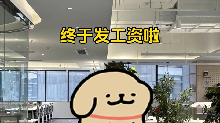 小鸡毛遇到了黑心老板