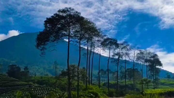 pagi di desaku