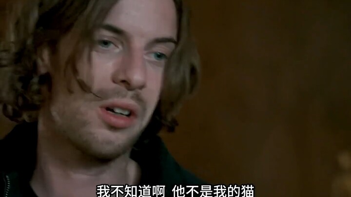 ฉันเป็นคนจรจัด แต่แมวของฉันไม่ใช่