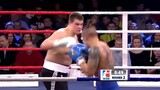 Oleksandr Usyk (Ukraine) vs Eric Brechlin (Germany) | MMA | KNOCKOUT, BOXING fight, HD