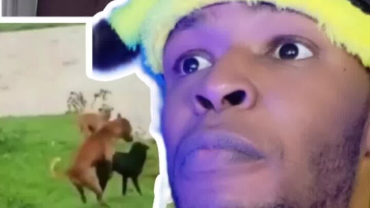 Follow me if you laugh | Try not to laugh in video #218.... #idwardo #humor #comedy #hilarious
