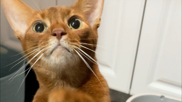 Brother Jun never in a million years expected that, at his age, he’d still be able to win an award…